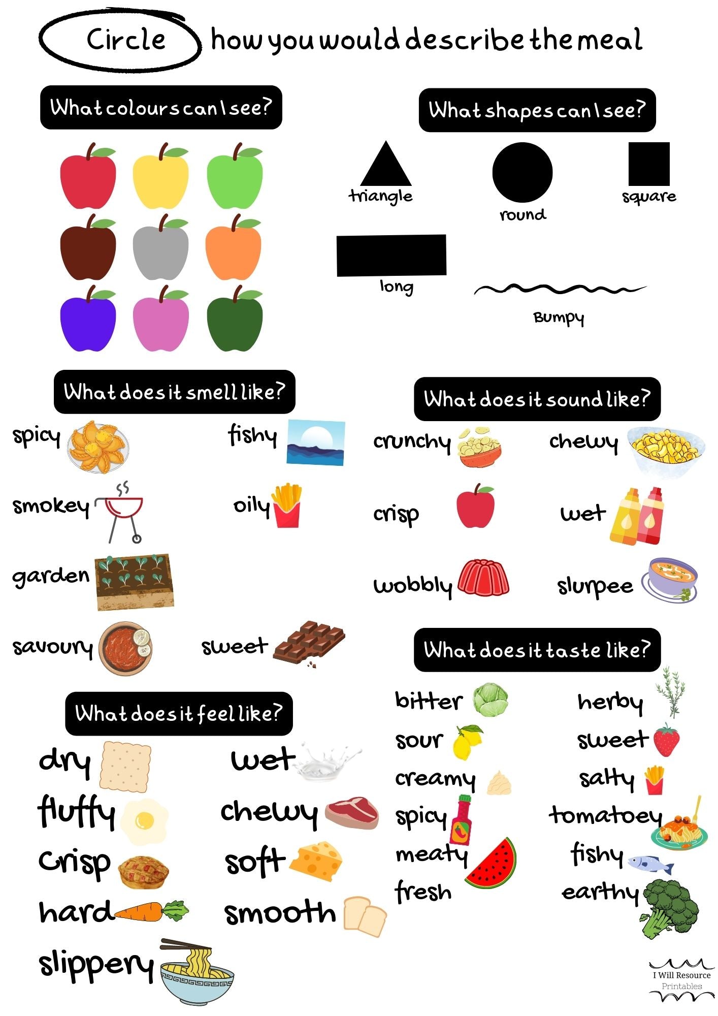 Toddler and Parent Cook Book (Digital download)