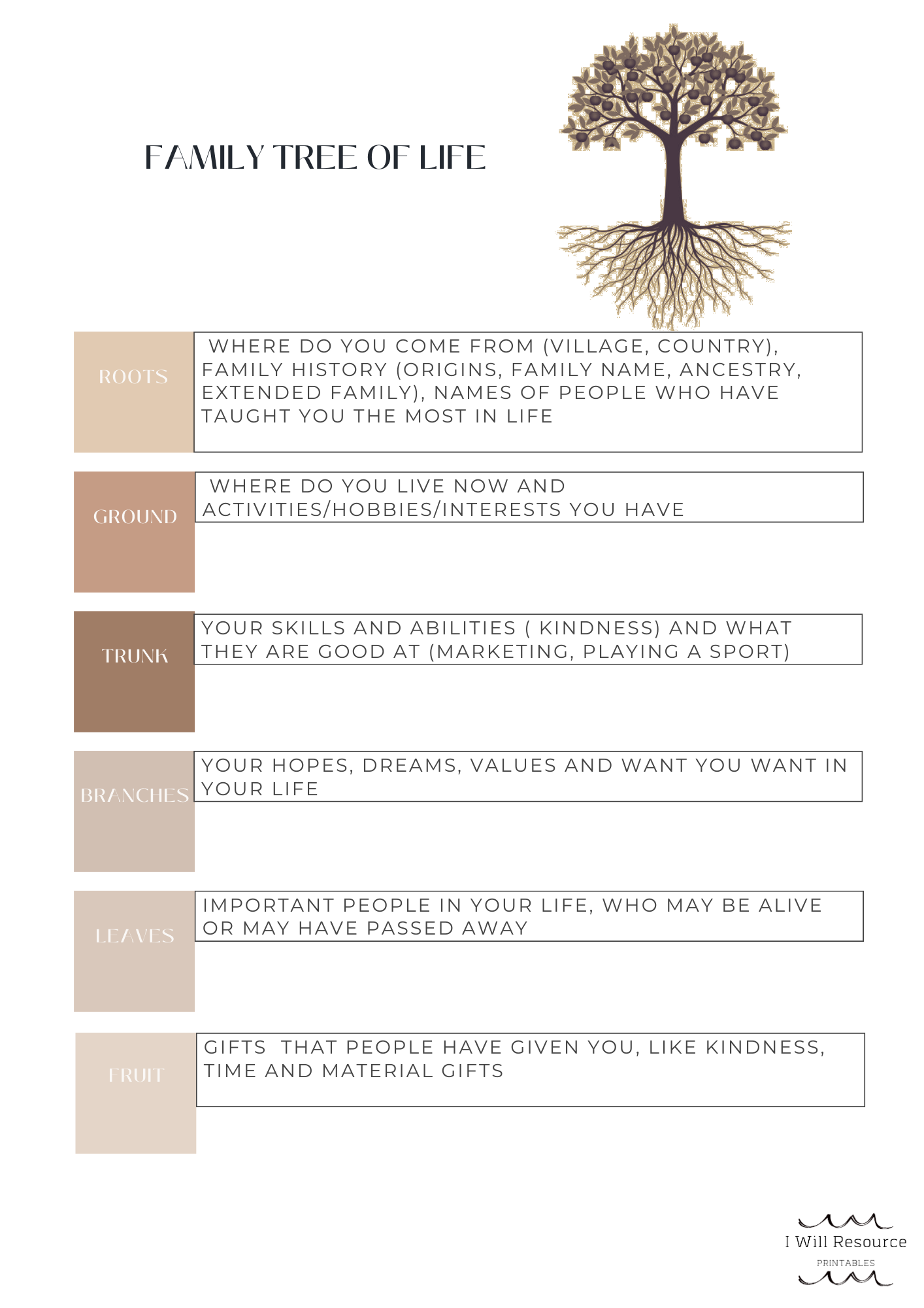 Family Life-Wellbeing Resource for Family Work (Digital Download)