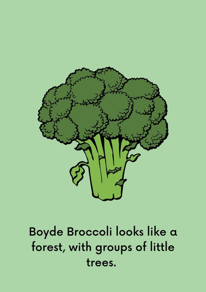 A Food Exposure Story: Boyde Broccoli (Digital Download)